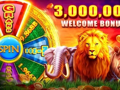 Live dealer casino interface